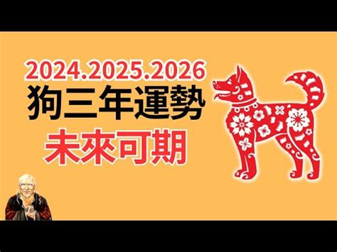 1982屬狗幸運數字|1982属狗一生幸运数字，最旺属狗人的数字是什么